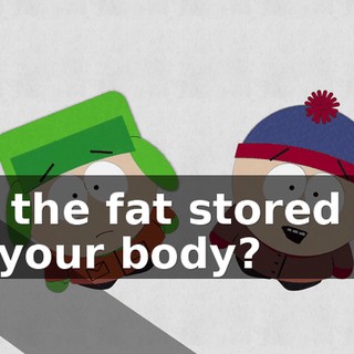 on the fat stored up in your body?