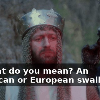 d32aad71-4736-40ae-bfff-fcd4f1b0ab25.gif