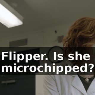 d384d7f1-c70f-4a35-9949-788824a6d58e.gif