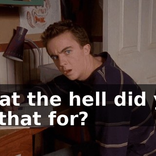 What the hell did you do that for?