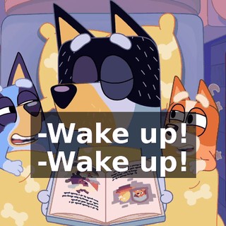 -Wake up! -Wake up!
