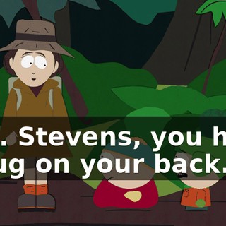 Mrs. Stevens, you have a bug on your back.