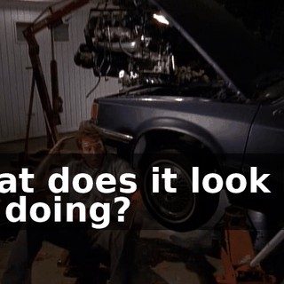 What does it look like I'm doing?