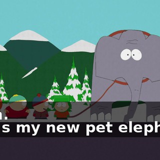 Yeah. - He's my new pet elephant.