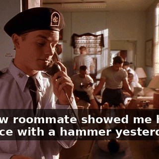 My new roommate showed me how to kill mice with a hammer yesterday,