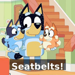 Seatbelts!
