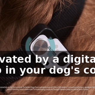 activated by a digital chip in your dog's collar.