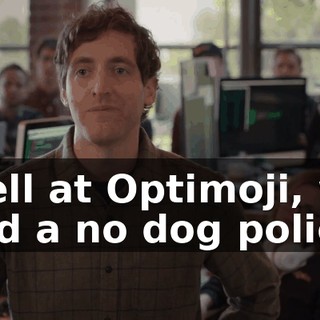 Well at Optimoji, we had a no dog policy.