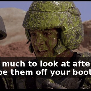 d44f3f6e-33b7-4794-bc1a-86acb826b345.gif