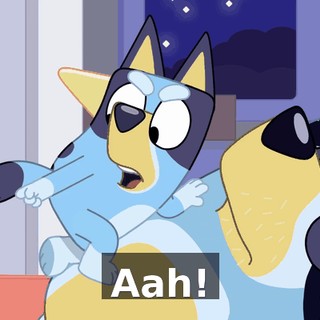 d491d27f-a499-464b-878e-c6fe8cc5cfe2.gif