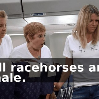 d4932857-ab6d-4e4d-9f2e-7e2d8b0ca006.gif