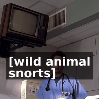 d4dbe781-219e-4df3-b187-9faa56b219d6.gif