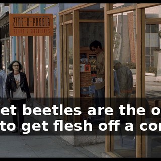 d533e20c-6bd3-4825-959d-1cf5240c10e3.gif