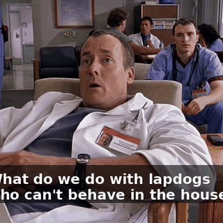 d56a46cd-b272-4759-b910-b4fa21b3cc2c.gif