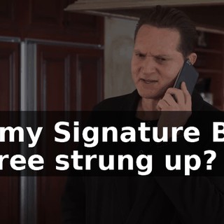 of my Signature Box Three strung up?