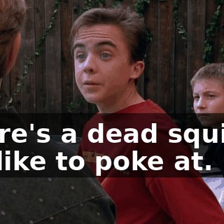 There's a dead squirrel we like to poke at.