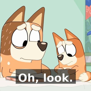 d5c8dbf8-9c47-4aef-aa77-1f8f3ce64f46.gif