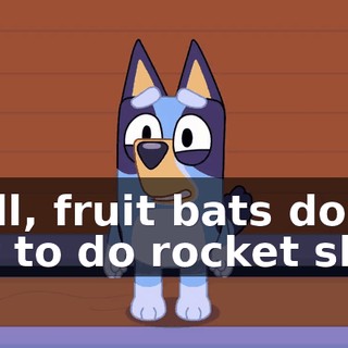 Well, fruit bats don't get to do rocket ship.