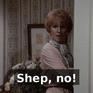 Shep, no!