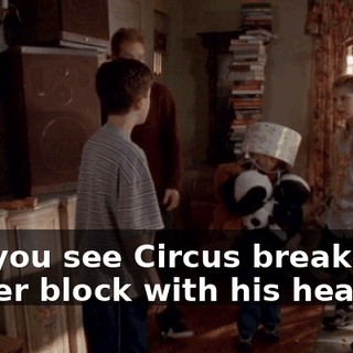 Did you see Circus break that cinder block with his head?