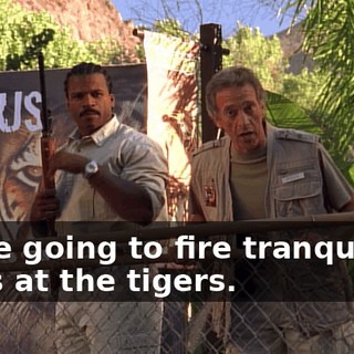 We're going to fire tranquilizer darts at the tigers.