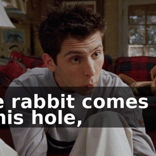 The rabbit comes out of his hole,