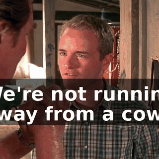 We're not running away from a cow.