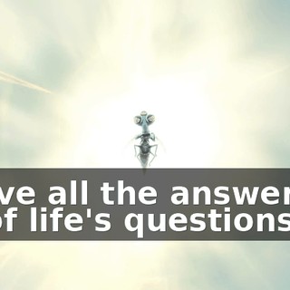I have all the answers to all of life's questions.