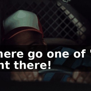 - There go one of 'em right there!