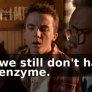 So we still don't have an enzyme.