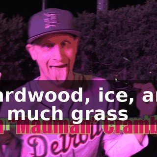 ♪ Hardwood, ice, and so much grass ♪