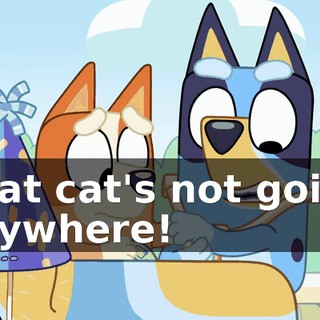 That cat's not going anywhere!