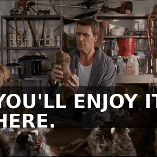 d8fcb258-fd19-40b8-bf9b-ddf7a87e5c2b.gif