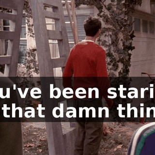 You've been staring at that damn thing