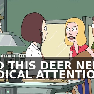 d922fa5e-022b-458d-88a0-b9b975278878.gif