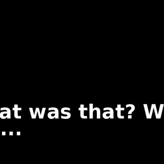 What was that? What the...