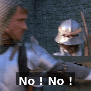 No ! No !