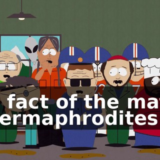 The fact of the matter is hermaphrodites
