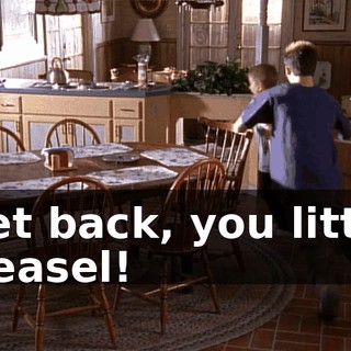 Get back, you little weasel!