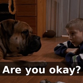 Are you okay?