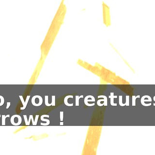 Go, you creatures ! Arrows !