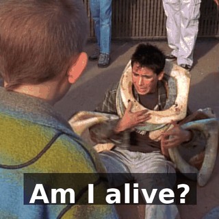 Am I alive?
