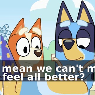 You mean we can't make him feel all better?