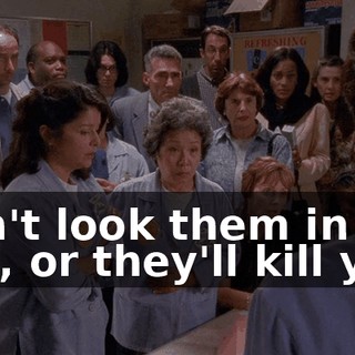 Don't look them in the eye, or they'll kill you.