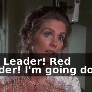 Red Leader! Red Leader! I'm going down.