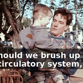 Or should we brush up on the circulatory system, hm?