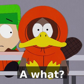 A what?