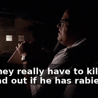Do they really have to kill him to find out if he has rabies?
