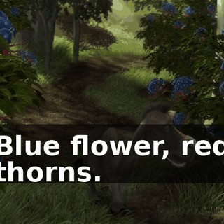 Blue flower, red thorns.