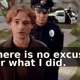 There is no excuse for what I did.